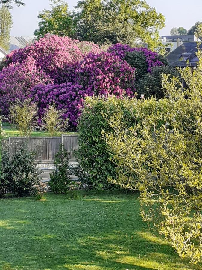 Manoir De L'As De Trefle Bed & Breakfast Isneauville Luaran gambar
