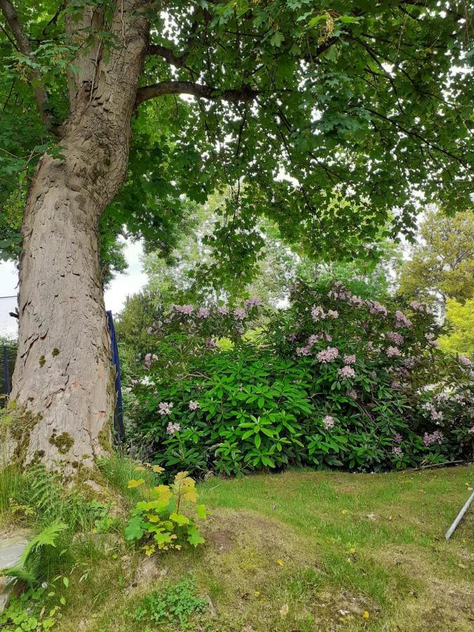 Manoir De L'As De Trefle Bed & Breakfast Isneauville Luaran gambar